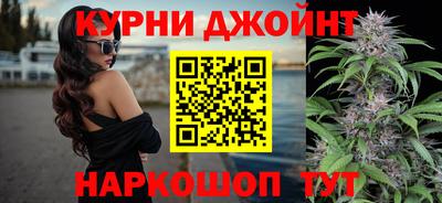 ГАЛЛЮЦИНОГЕННЫЕ ГРИБЫ Новозыбков