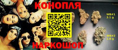 ГАЛЛЮЦИНОГЕННЫЕ ГРИБЫ Новозыбков