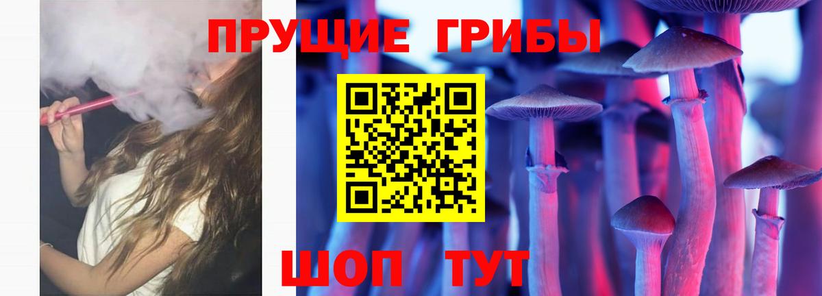 Псилоцибиновые грибы мухоморы Саранск